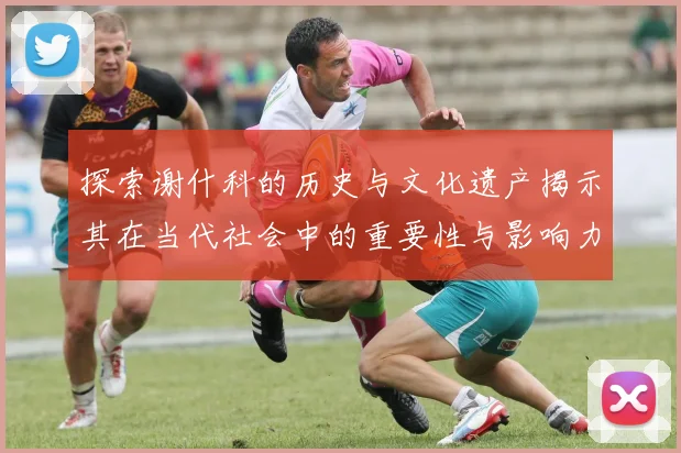 探索谢什科的历史与文化遗产揭示其在当代社会中的重要性与影响力